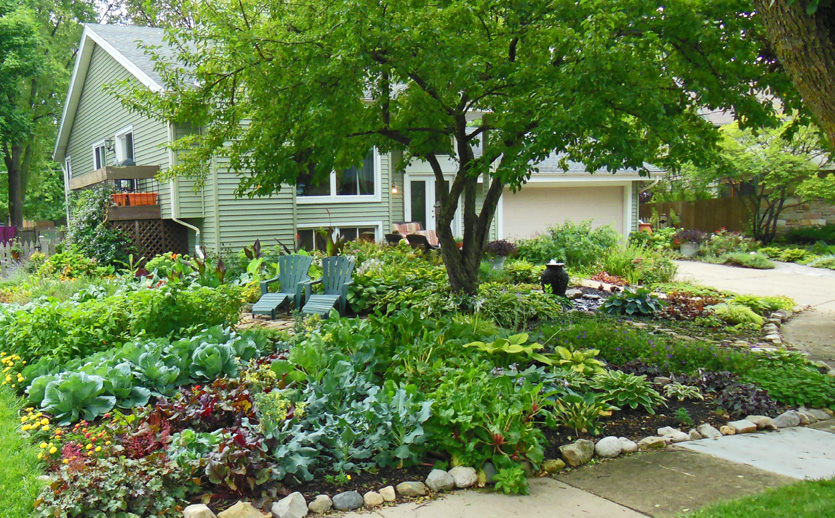 Home Landscaping 101: How to Have a Beautiful, Healthy Yard