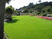 Your Weekday Lawn Maintenance Checklist